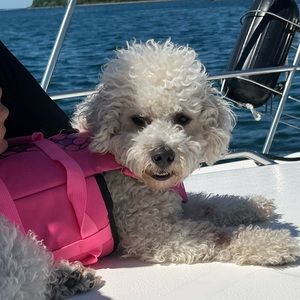 Meet your Posher, Cynthia